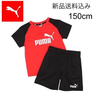 プーマ(PUMA)の【新品送料込】定価3,960円 プーマ 上下セット シャツ&パンツ 150cm(その他)