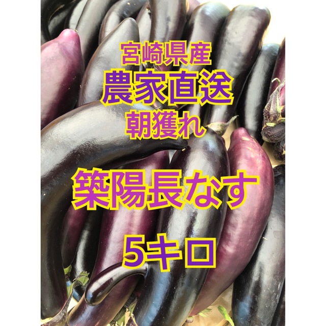 野菜　なす　5キロ　宮崎県産 食品/飲料/酒の食品(野菜)の商品写真