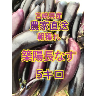 野菜　なす　5キロ　宮崎県産(野菜)
