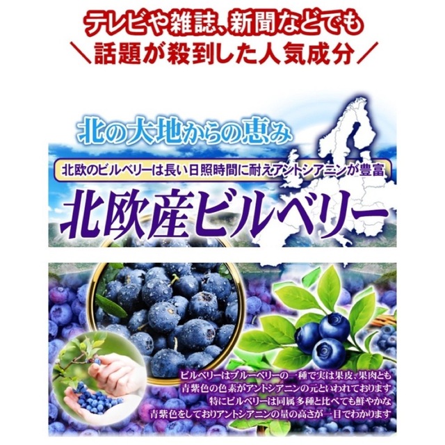 ビルベリー & ルテイン +コンドロイチン、アサイー、ビタミン、カシス　6ヶ月分 食品/飲料/酒の加工食品(その他)の商品写真