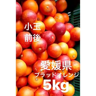 愛媛県産　ブラッドオレンジ　柑橘　5kg(フルーツ)