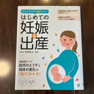 おなかの中を可視化する！はじめての妊娠＆出産(結婚/出産/子育て)