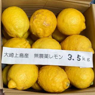 広島県大崎上島産無農薬レモン　3.5kg(フルーツ)