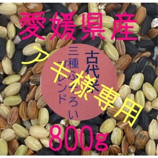アキ様専用  古代米3種ふぞろいブレンド　愛媛県産　800ｇ(米/穀物)