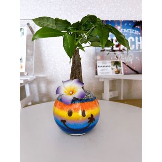 カラーサンドアート　ホヌ　パキラ　観葉植物　ニコちゃん　プルメリア(花瓶)