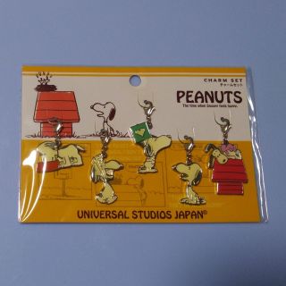 スヌーピー(SNOOPY)のスヌーピー　チャームセット(キャラクターグッズ)