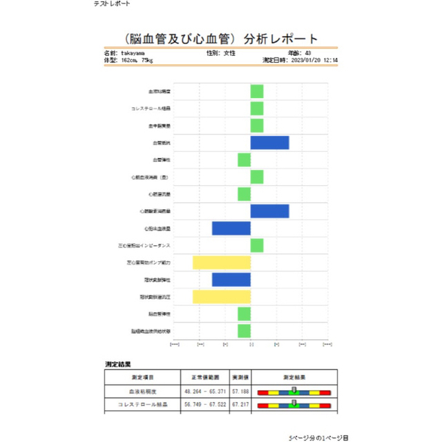 量子アナライザー　波動測定器　波動　量子共鳴　磁気共鳴　健康管理　サプリ参考