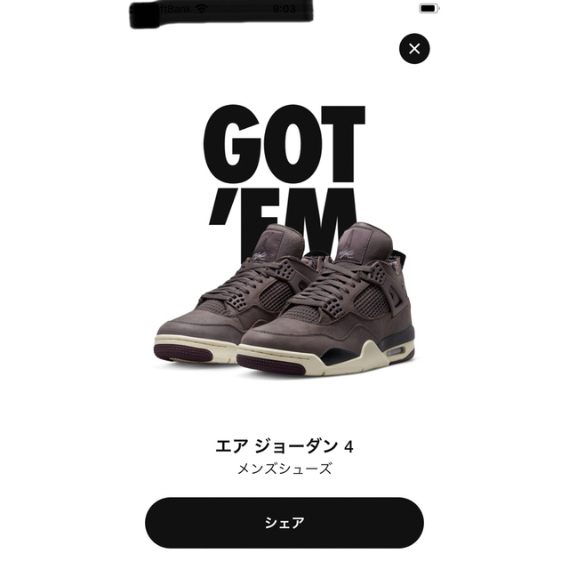 アママニエール✖️NIKE AIR JORDAN 4   28.5cm