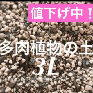 値下げ中❣️多肉植物　サボテンの土　約3リットル 即購入歓迎❣️(その他)