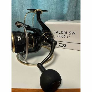 ダイワ(DAIWA)のカルディアSW8000H(リール)