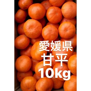 ちりみに様　専用　愛媛県産　甘平　柑橘　10kg(フルーツ)