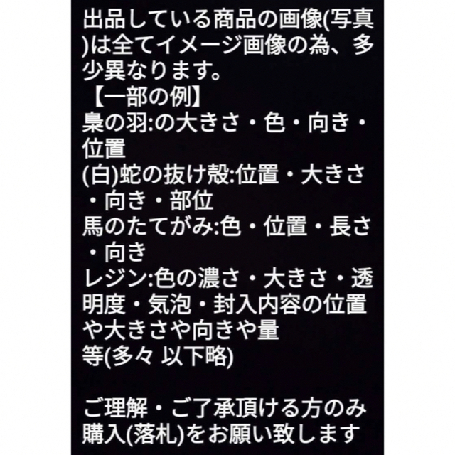 龍体文字✨むく✨仕事運✨金運✨蛇の抜け殻✨白蛇のお守りAB 通販