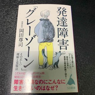 発達障害　グレーゾーン　その正しい理解と克服法(住まい/暮らし/子育て)