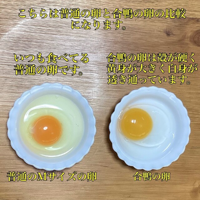 1 岡山県産 平飼い有精卵 合鴨の卵 5個 食品/飲料/酒の食品(その他)の商品写真