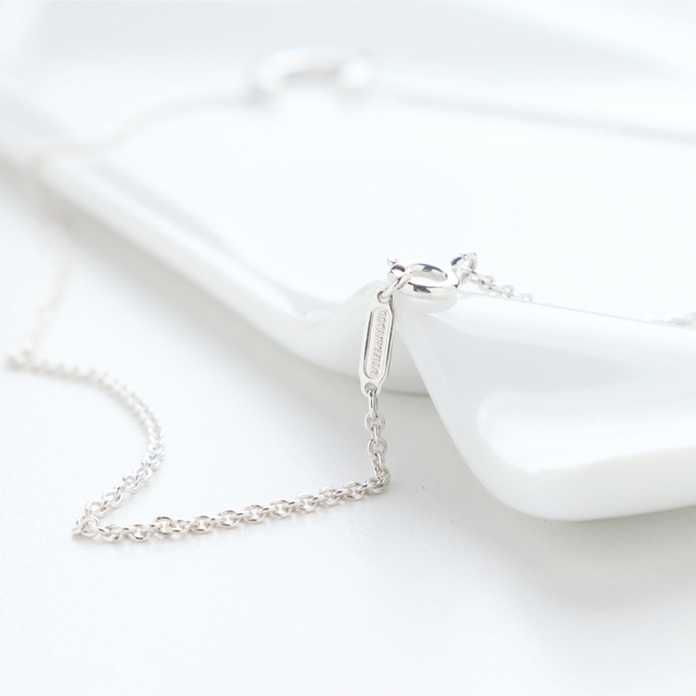美品 TIFFANY&Co. ティファニー ホースシュー 925 ネックレス