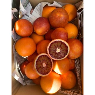 愛媛県産　ブラッドオレンジ　箱込み約3Kg　柑橘　ミカン(フルーツ)