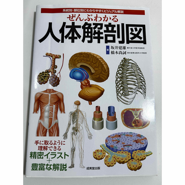 ぜんぶわかる人体解剖図 系統別・部位別にわかりやすくビジュアル解説 エンタメ/ホビーの本(健康/医学)の商品写真