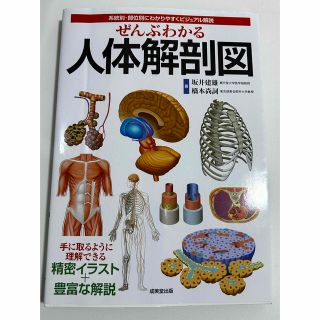 ぜんぶわかる人体解剖図 系統別・部位別にわかりやすくビジュアル解説(健康/医学)