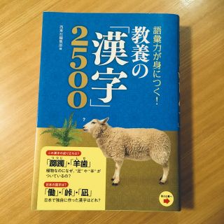 ♡美品♡漢字♡語彙力が身につく!教養の「漢字」2500♡本♡(人文/社会)