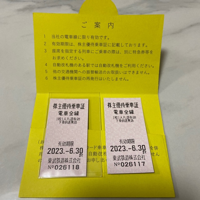 東武鉄道 株主優待乗車証20枚等