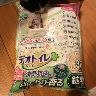 ユニチャーム(Unicharm)の【限定品】 デオトイレ 消臭・抗菌サンド ボタニカルの香り3.８Ｌ(猫)