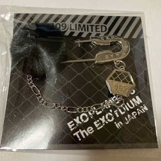 エクソ(EXO)のEXO ポップアップストア限定 ファーチャーム(K-POP/アジア)