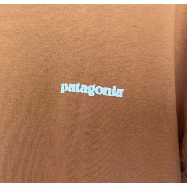 patagonia(パタゴニア)のpatagonia vintage organic cotton tee【美品】 メンズのトップス(Tシャツ/カットソー(半袖/袖なし))の商品写真