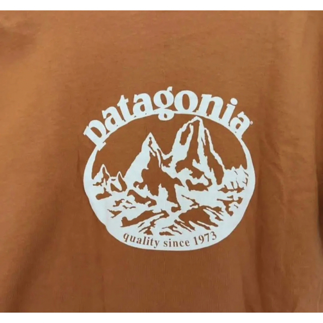 patagonia(パタゴニア)のpatagonia vintage organic cotton tee【美品】 メンズのトップス(Tシャツ/カットソー(半袖/袖なし))の商品写真