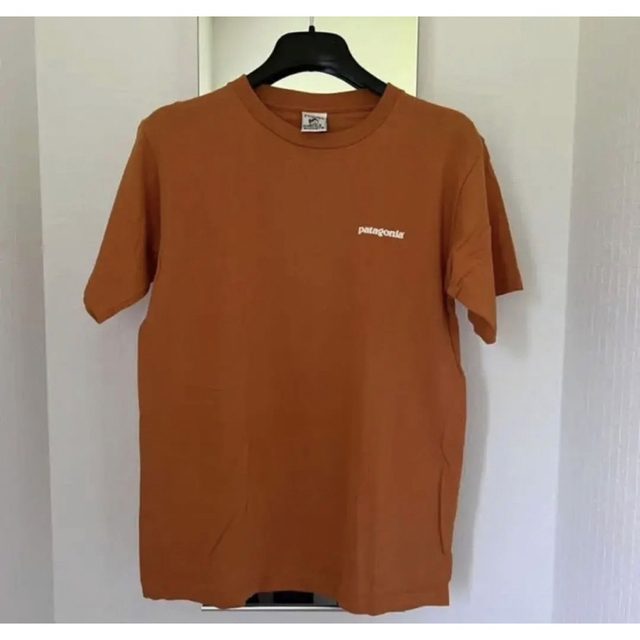 patagonia(パタゴニア)のpatagonia vintage organic cotton tee【美品】 メンズのトップス(Tシャツ/カットソー(半袖/袖なし))の商品写真