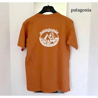 パタゴニア(patagonia)のpatagonia vintage organic cotton tee【美品】(Tシャツ/カットソー(半袖/袖なし))