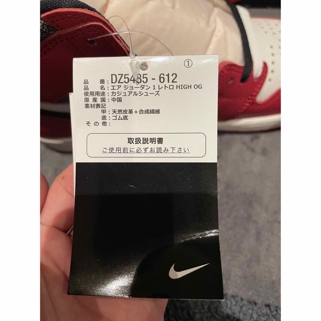 Air Jordan 1 High OG "Lost & Found 27cm