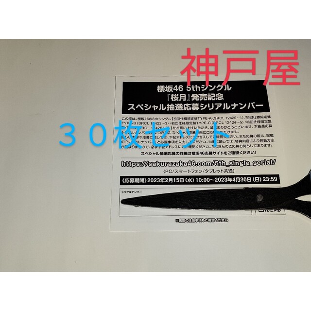 アイドルグッズ〈櫻坂46〉櫻月 抽選応募シリアルナンバー 30枚セット