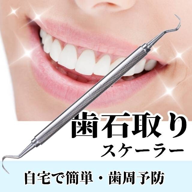 最愛 歯石取り スケーラー 1本 ヤニ デンタルオーラル ステンレス デンタル ペット 歯石取り スケーラー 1本 2way オーラルケア デンタルケア ヤニ取り
