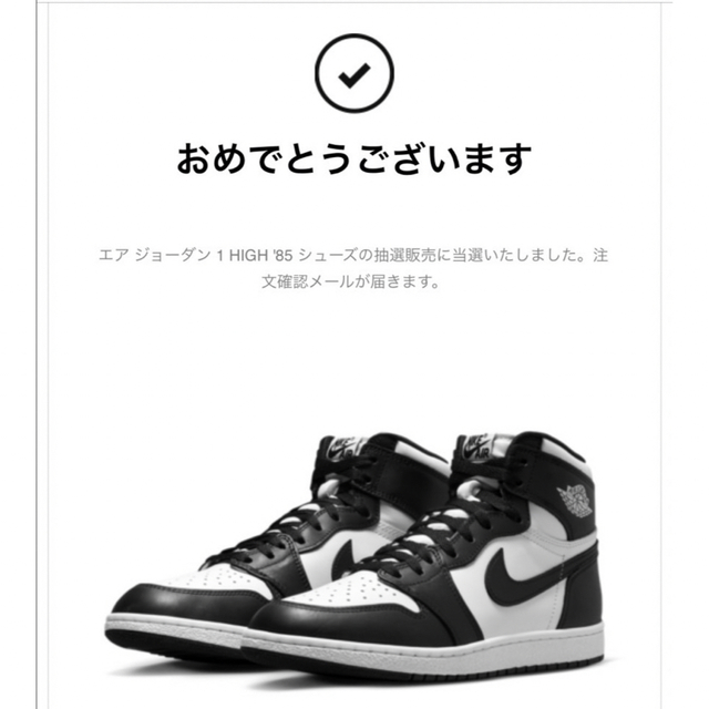 AIR JORDAN 1 HIGH '85 Black White 26㎝