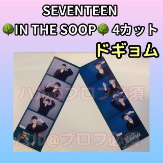 セブンティーン(SEVENTEEN)のSEVENTEEN  IN THE SOOP  4カット　ドギョム(アイドルグッズ)