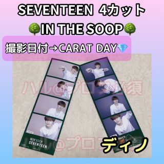 セブンティーン(SEVENTEEN)のSEVENTEEN  IN THE SOOP  4カット　ディノ(アイドルグッズ)