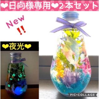 【日向様専用】〜360度アクアリウム〜水族館風♡蓄光Mixハーバリウム♡2本(その他)