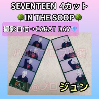 セブンティーン(SEVENTEEN)のSEVENTEEN  IN THE SOOP  4カット　ジュン(アイドルグッズ)