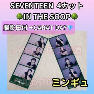 セブンティーン(SEVENTEEN)のSEVENTEEN  IN THE SOOP  4カット　ミンギュ(アイドルグッズ)