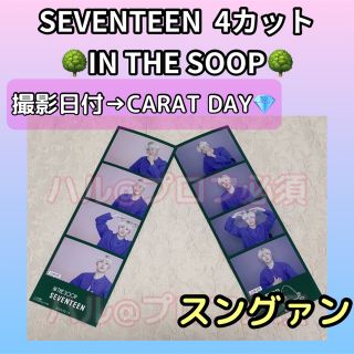 セブンティーン(SEVENTEEN)のSEVENTEEN  IN THE SOOP  4カット　スングァン(アイドルグッズ)