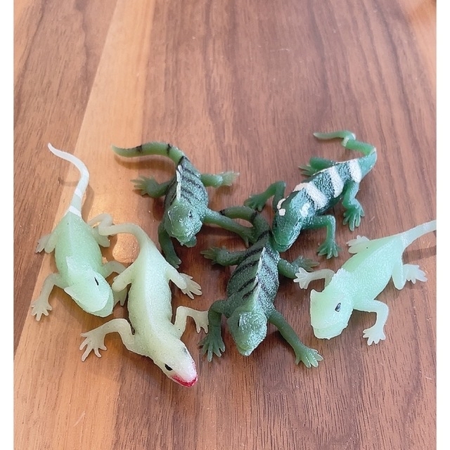 IGUANA&SEAMONSTER🦎🐟33体セット！！ エンタメ/ホビーのおもちゃ/ぬいぐるみ(キャラクターグッズ)の商品写真