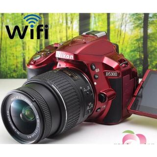 【Wifi機能】Nikon ニコン D5300 レッド 18-55 オマケ満載