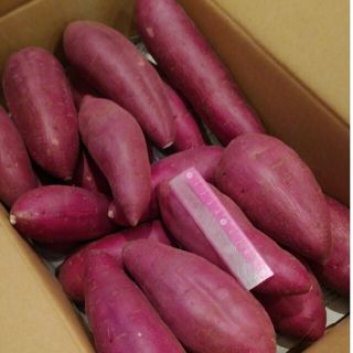 限定1点　22 千葉県産　べにはるか　さつまいも　サツマイモMサイズ　約5.0㎏(野菜)
