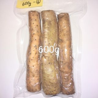 四国山地、標高８００ｍ山中を由来の自然薯　600g(野菜)