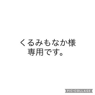 くるみもなか様専用　オーダー⭐︎(ランチボックス巾着)