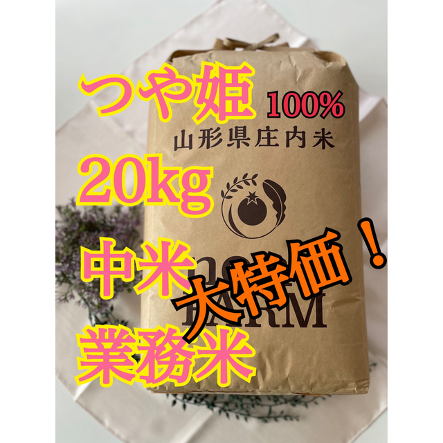 つや姫　20kg 中米　業務米　令和5年 山形　特別栽培米