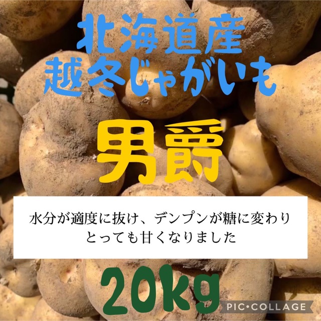 越冬】北海道産じゃがいもキタアカリ20kgの通販 by 山中農園｜ラクマ