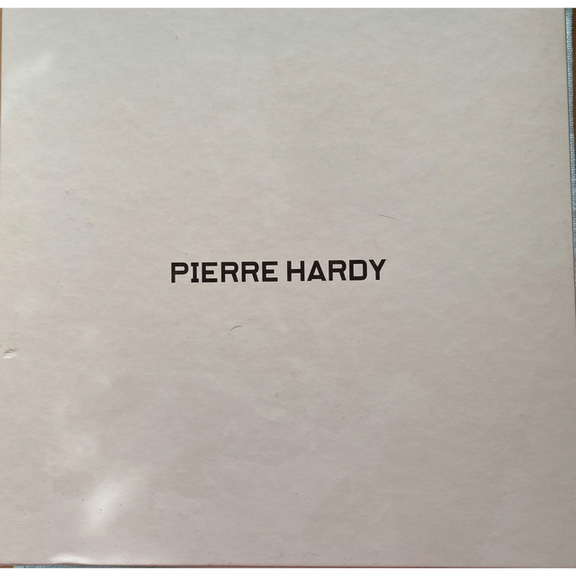 PIERRE HARDY(ピエールアルディ)の【PIERRE HARDY】ピエールアルディ　季節を先取りパンプス　新品未使用 レディースの靴/シューズ(ハイヒール/パンプス)の商品写真