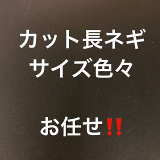 減農薬　　白ネギ　薬味〜鍋物用のサイズ色々‼️    A4サイズ(野菜)