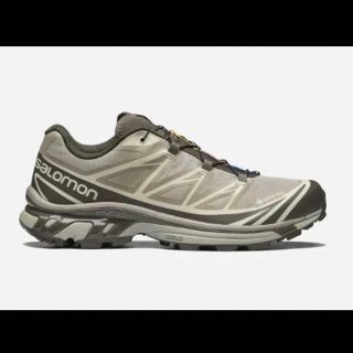 サロモン(SALOMON)のSalomon サロモン XT-6 GTX Gore-tex(スニーカー)